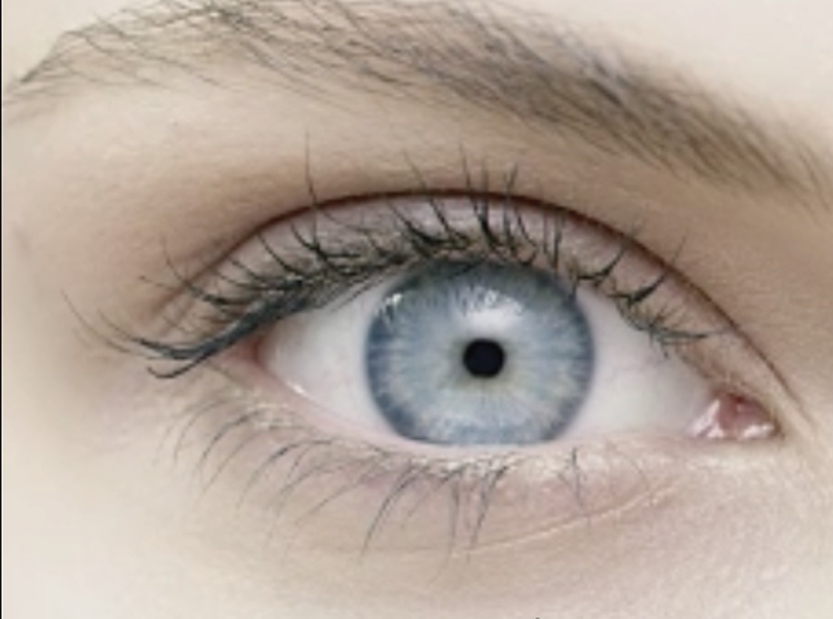 A single eye, in close-up